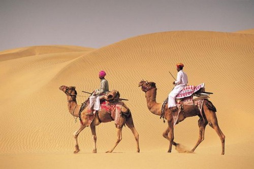 Camel safari